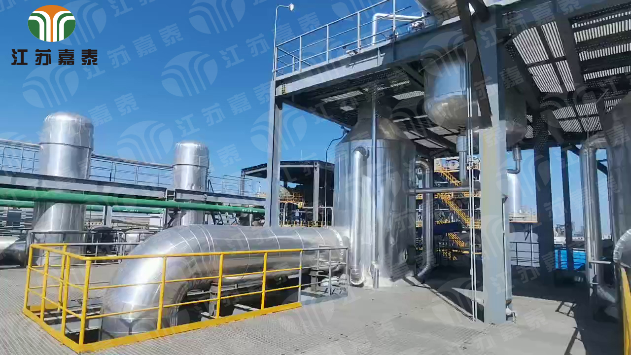 1766128902148374.jpg 01MVR.jpg